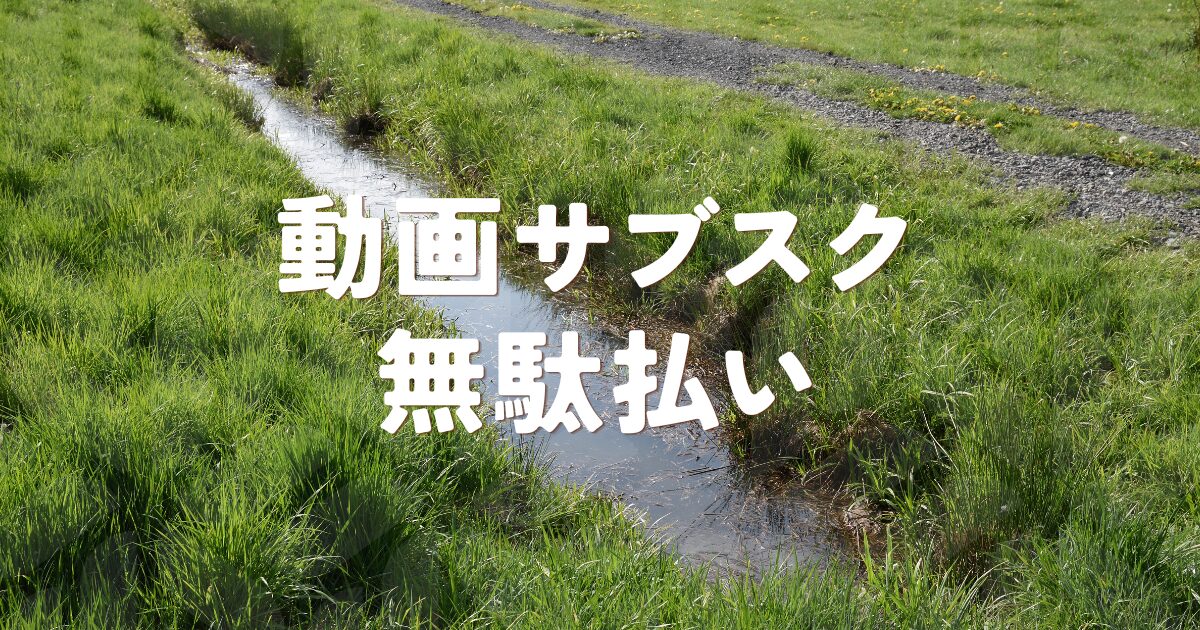 「動画サブスク無駄払いの損失額は、正直言って馬鹿にならない」サムネイル